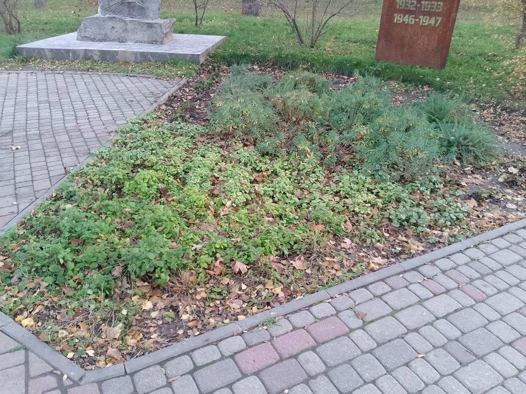 У Полтаві біля знаку жертвам Голодомору висадили рослини, які рятували життя під час геноциду й встановили інформтаблицю