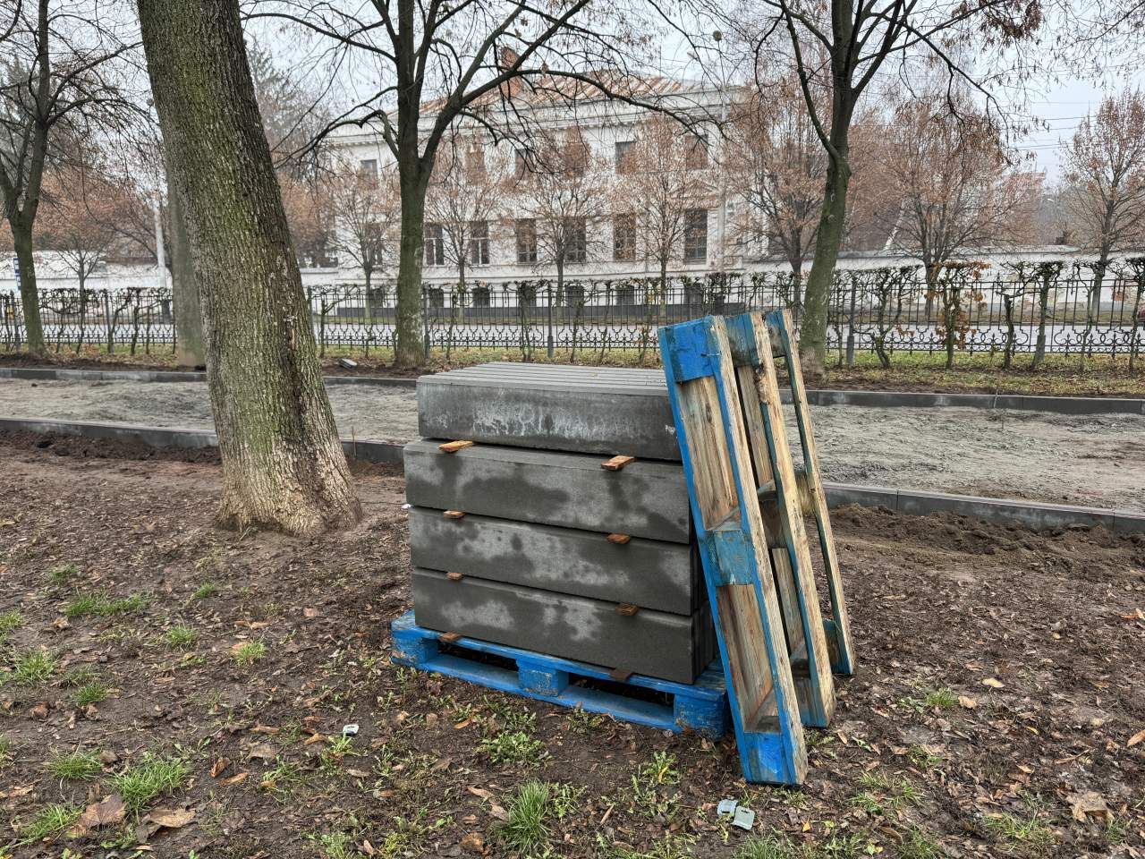 Асфальт замість плитки: у Полтаві стартував ремонт кругової доріжки в Корпусному парку