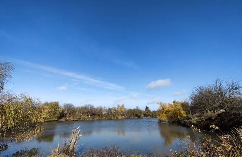 Ставок на вулиці Науковій
