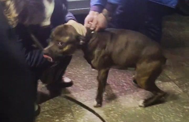 Кадр з відео