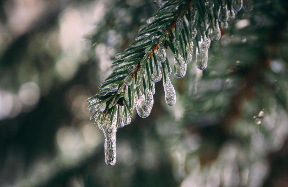 Початок наступного тижня у Полтаві прогнозують з мокрим снігом та морозом