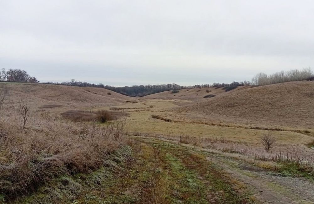 Ілюстративне фото: землі природно-заповідного фонду у Шишацькій громаді