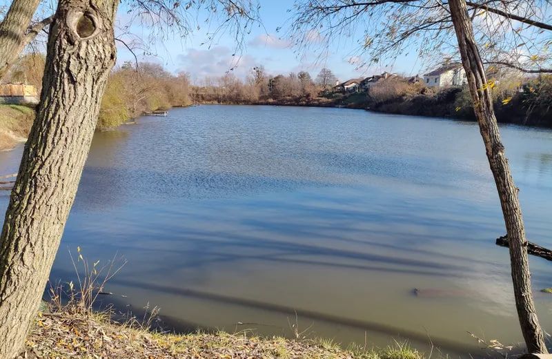 Ставок вул. Катерини Скаржинської