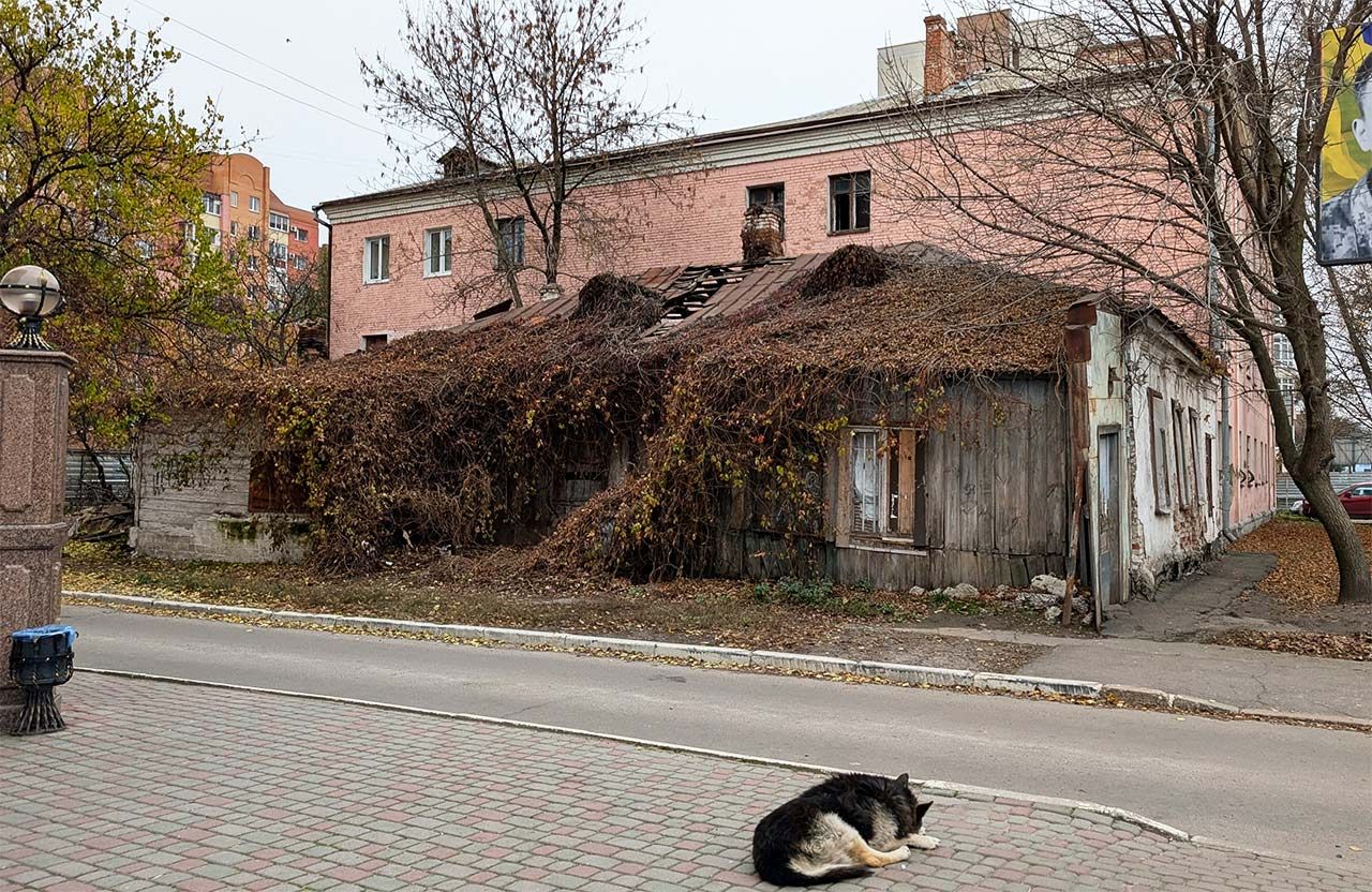 Ілюстрація: будинок на вулиці Соборності, 59 у листопаді 2025 року