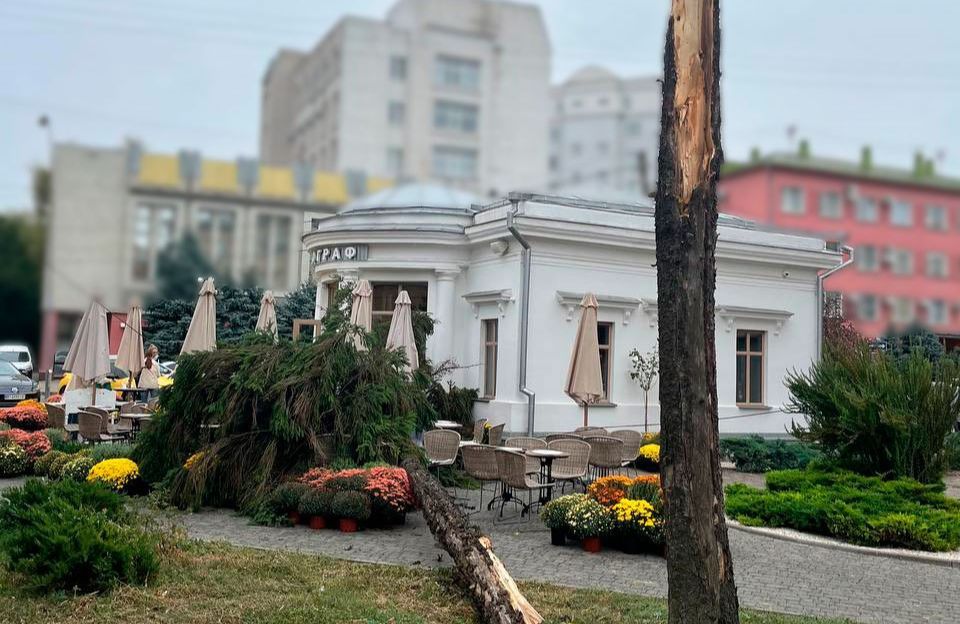 Падіння дерева на літній майданчик кафе «Фотограф» 7 жовтня 2023 року