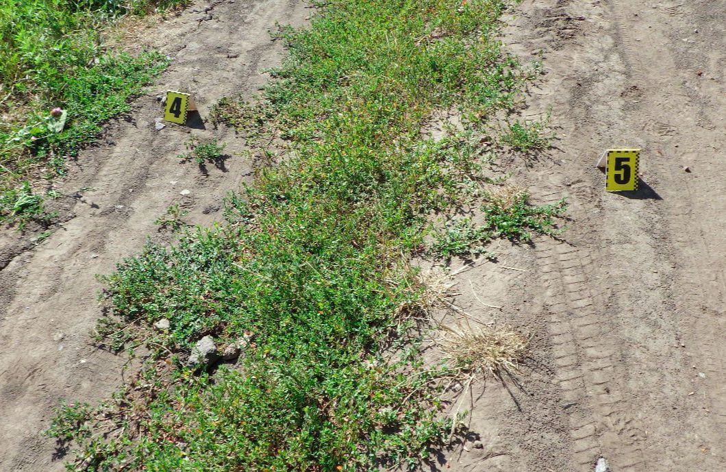 Смерть жінки у Бричківці: суд призначив нападнику 5,5 років ув’язнення