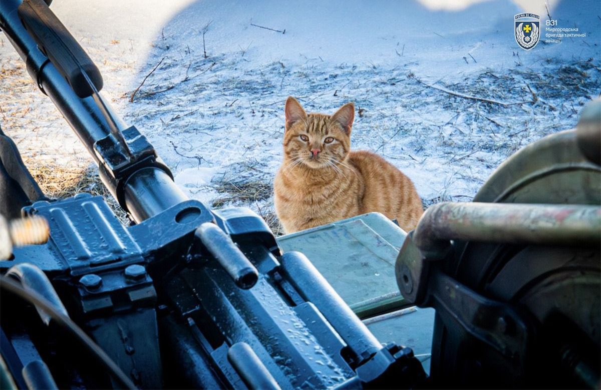 Фото: 831-ша Миргородська бригада тактичної авіації