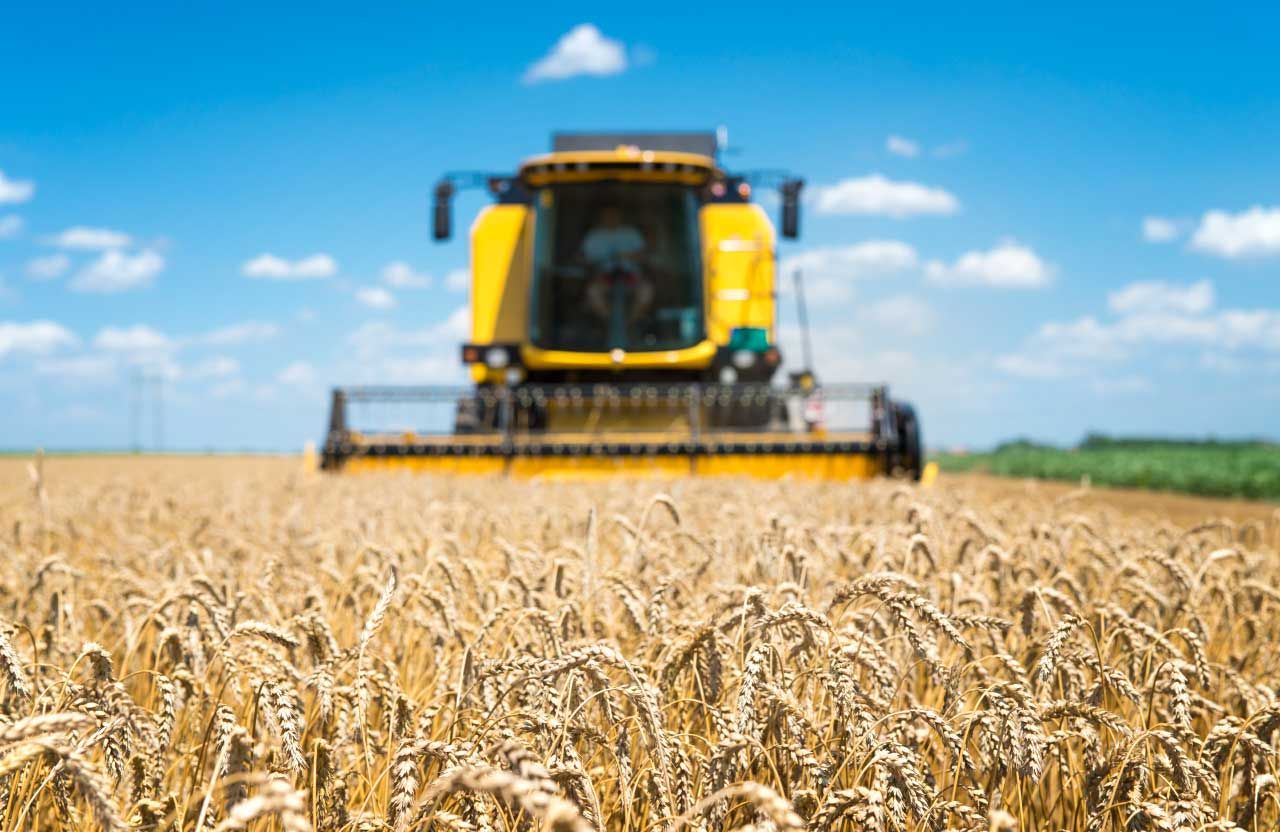 320 мільйонів грантів та 2,3 мільярда пільгових кредитів: на Форумі аграріїв озвучили суми державної підтримки фермерів Полтавщини