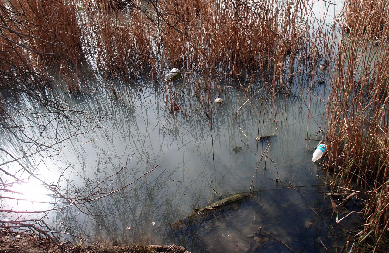 Забруднена вода на четвертому Пушкарівському ставку | Фото: Валентин Прасок