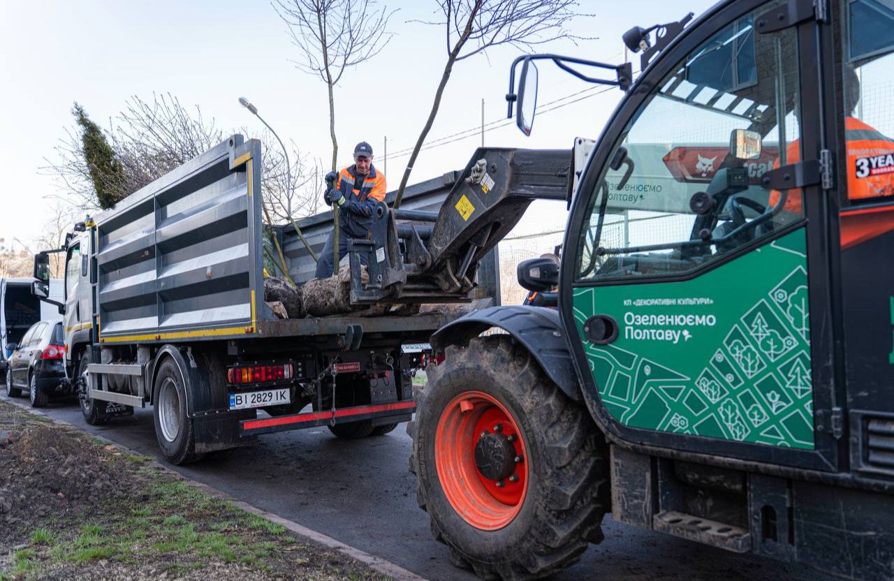 Висадка нових дерев на вулиці Антона Грицая у Полтаві