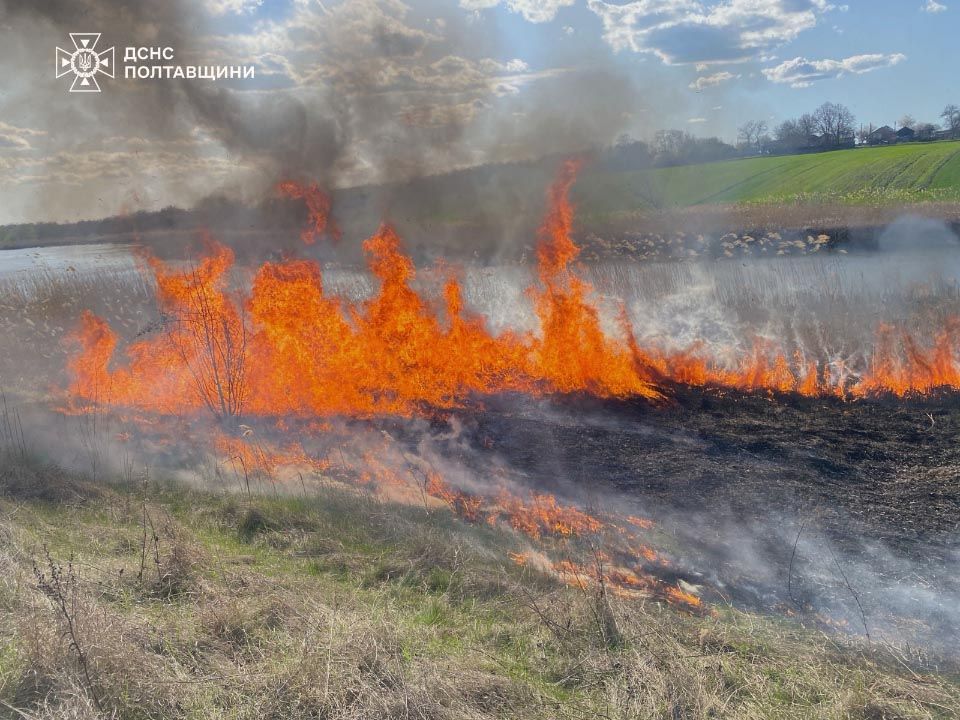 На Полтавщині за добу вигоріло понад 6 гектарів сухостою