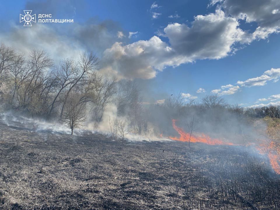 На Полтавщині за добу вигоріло понад 6 гектарів сухостою