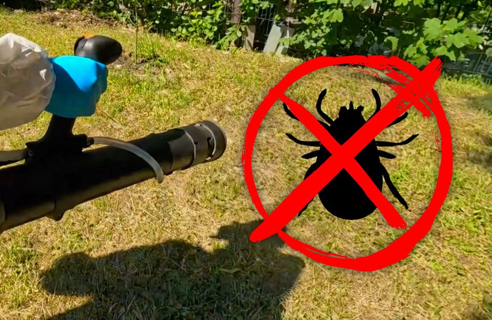 80% постраждалих — діти: у Полтаві почнуть обробку парків від кліщів