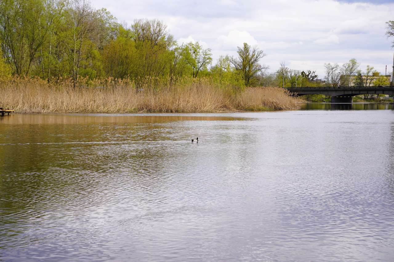 У Полтаві готуються до відкриття купального сезону: він стартує 4 червня