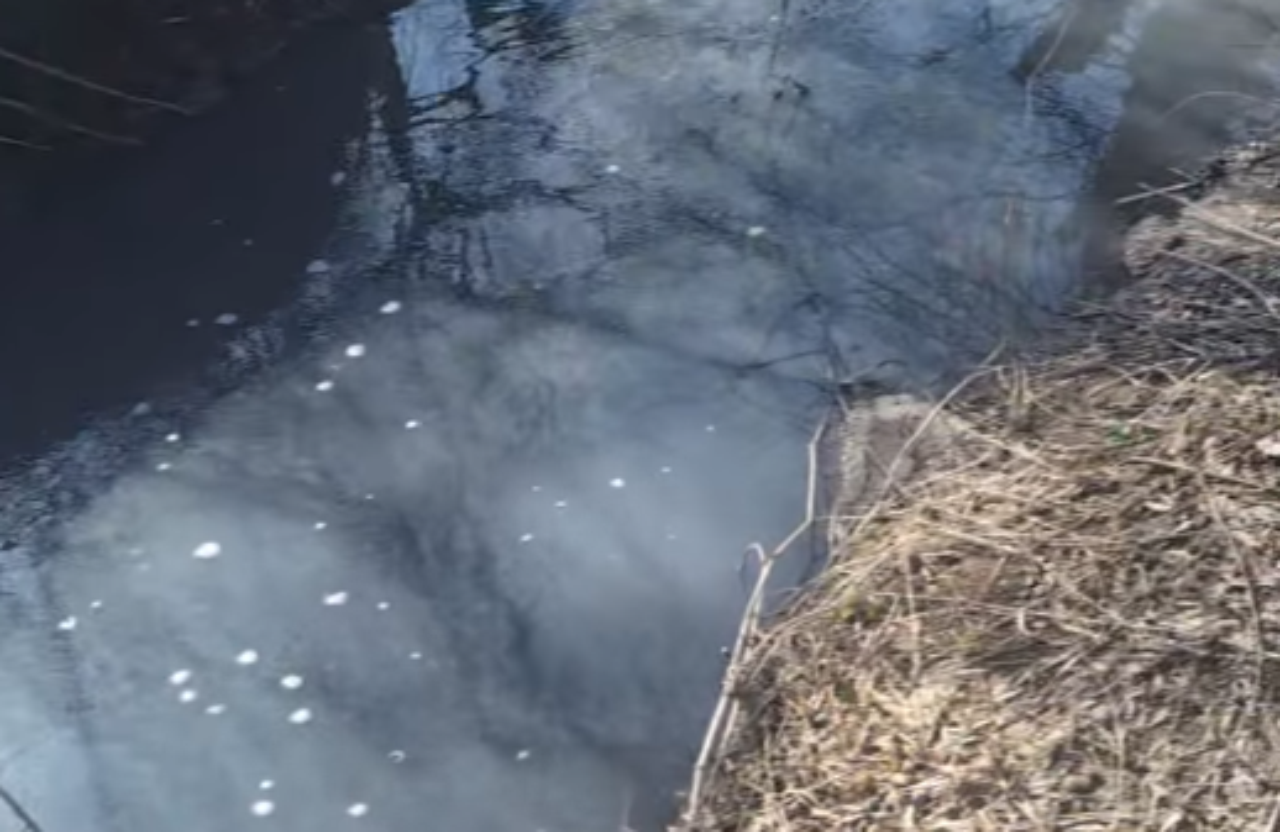 Нечистоти в Пушкарівській балці