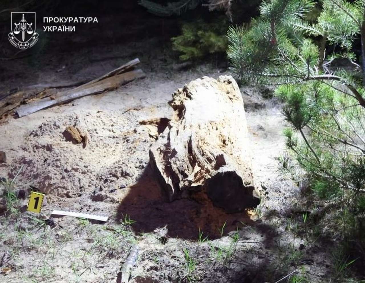 Зарізав, спалив та закопав: на Полтавщині батька підозрюють у жорстокому вбивстві 3-річного сина через ревнощі