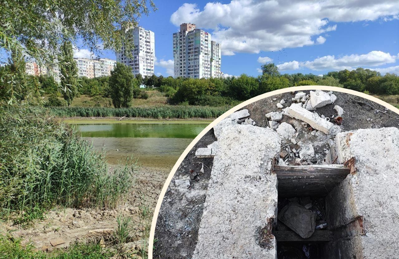 «Декоративні культури» планують замовити обстеження аварійного водоспуску ставка поблизу Огнівки