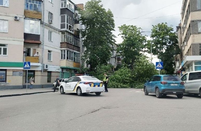 Вулиця Юліана Матвійчука, яку перекрила гілка дерева | Фото: Тралік на Огнівку