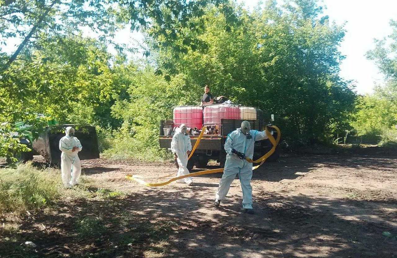 На Зіньківщині ліквідували стихійний скотомогильник: утилізація решток обійшлася у 300 тисяч гривень