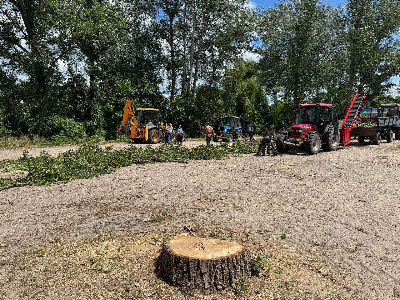 Хто і навіщо вирубує дерева на центральному пляжі Полтави