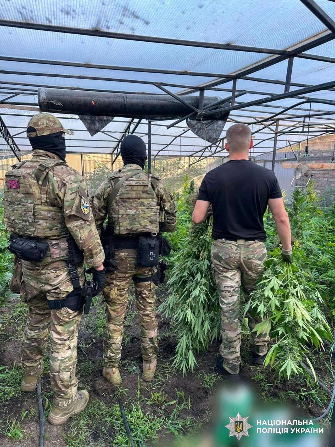 Полтавські правоохоронці долучилися до масштабної наркооблави: результати всеукраїнської спецоперації «Джентльмени»