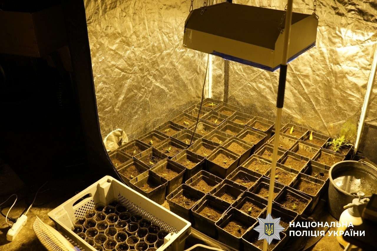 Полтавські правоохоронці долучилися до масштабної наркооблави: результати всеукраїнської спецоперації «Джентльмени»