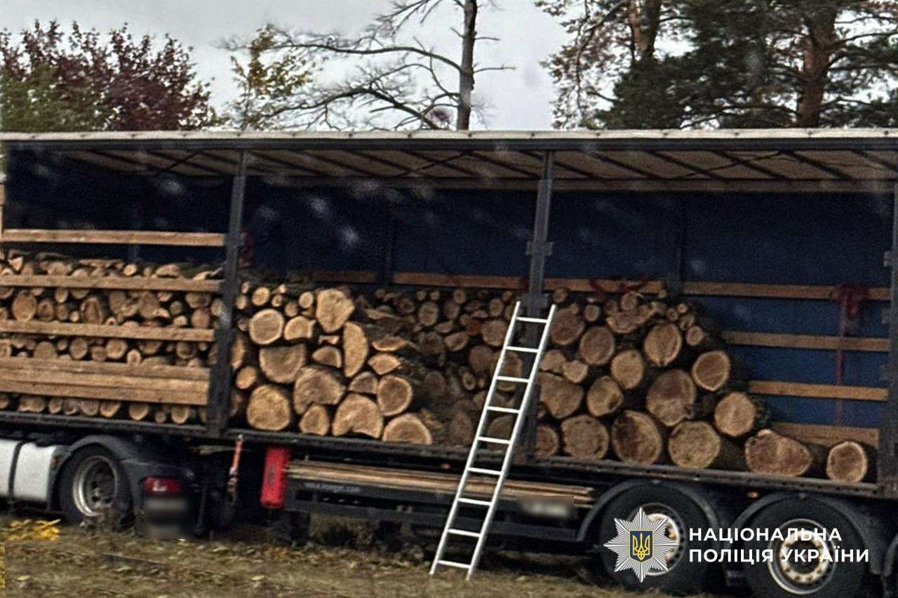 На Полтавщині судитимуть «чорних лісорубів» та лісничого, які вирубали дерев на понад 5,7 млн грн