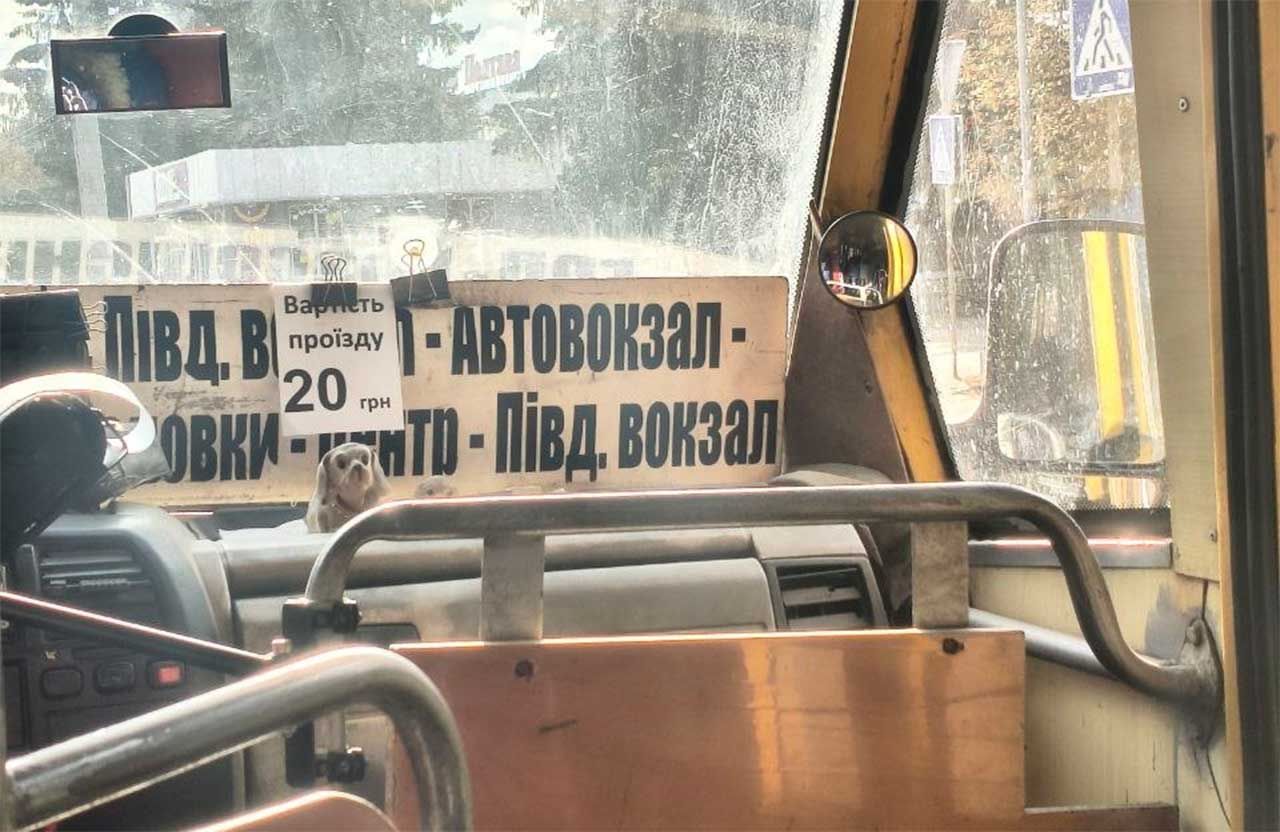 Замість 22-х — 20 грн готівкою: як тіньова економіка полтавських маршруток обійшла рішення виконкому