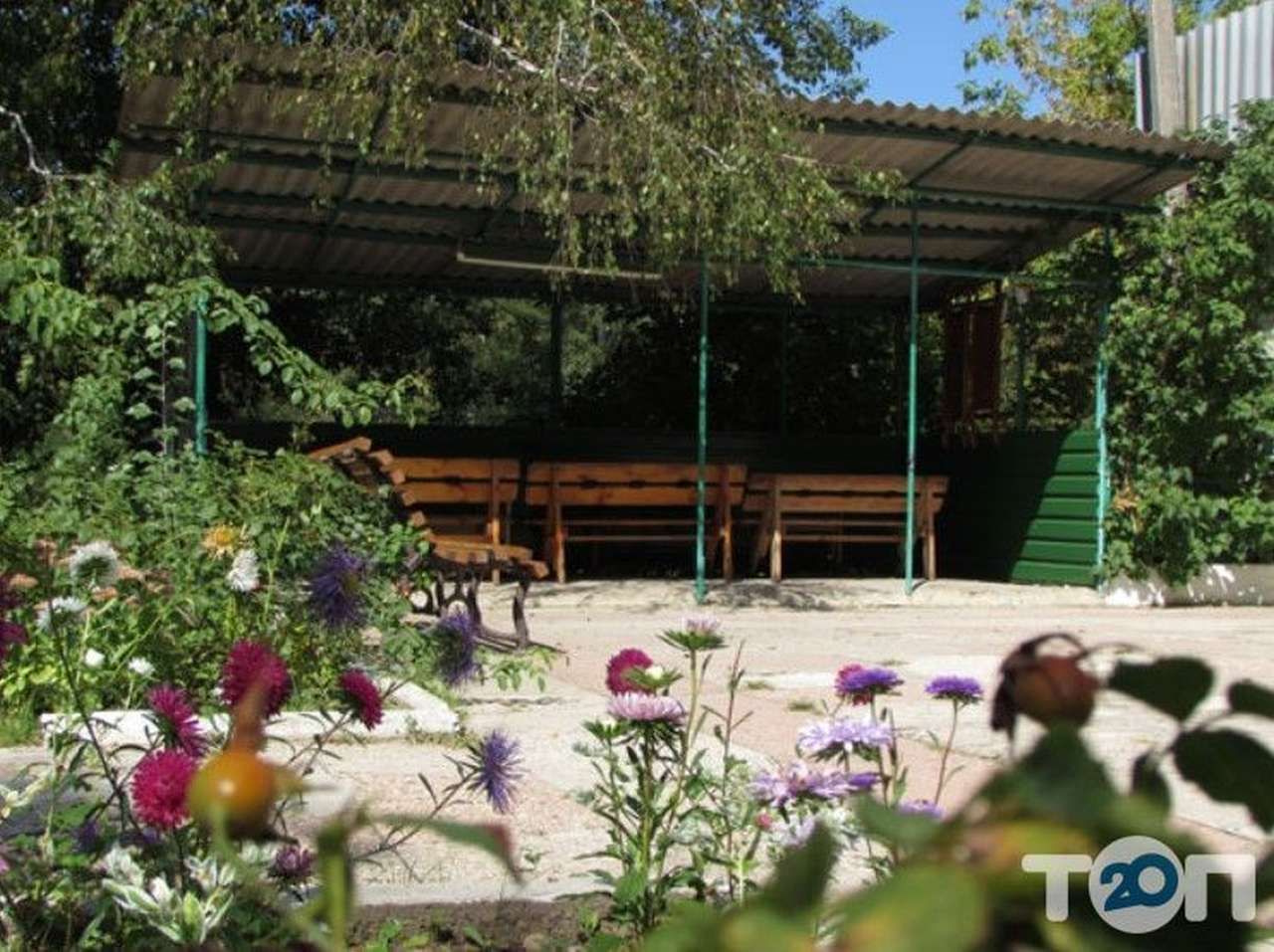 Базу відпочинку «Зелений берег» у Полтаві передали компанії депутата облради Олега Хардіна
