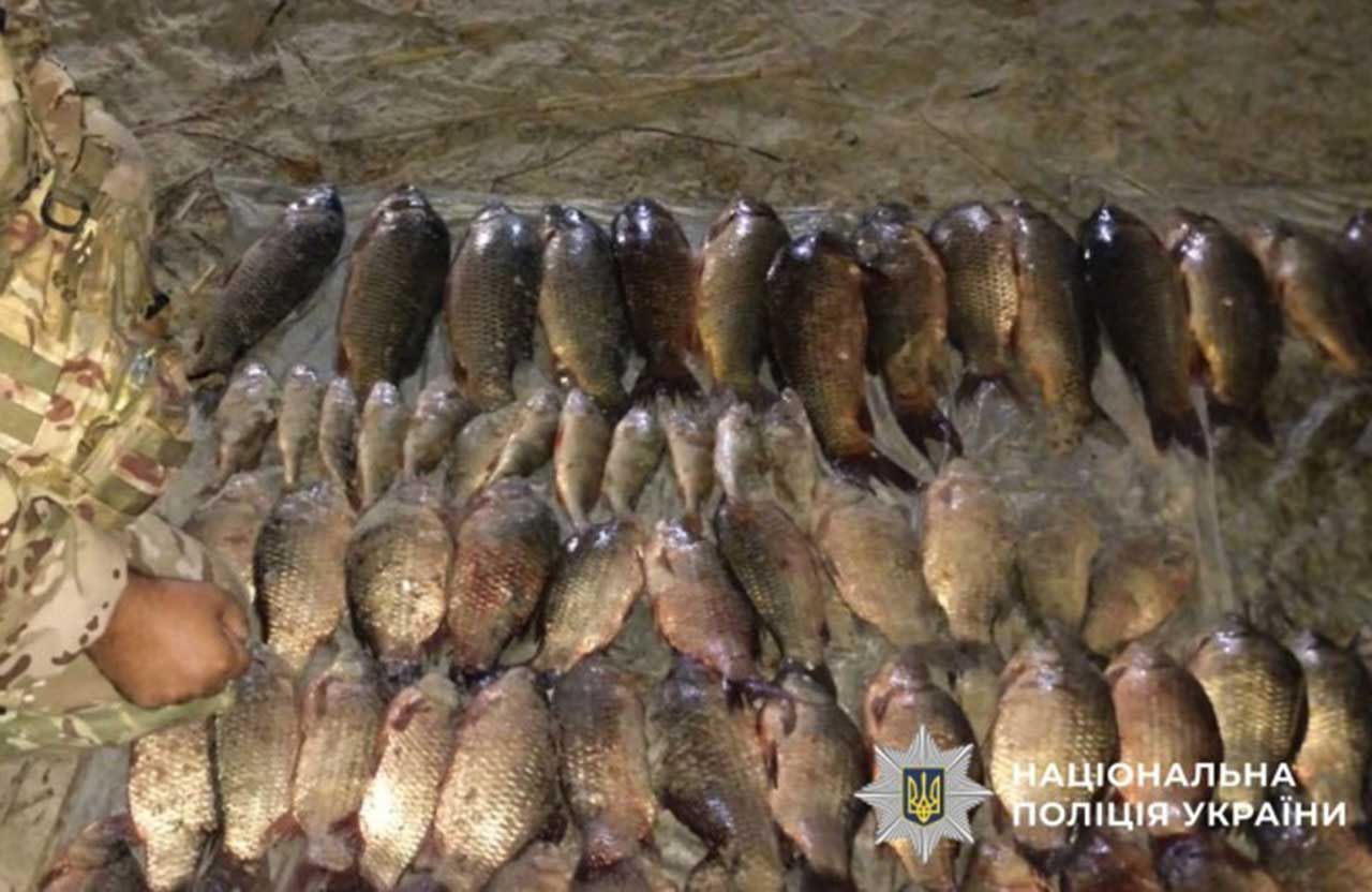 Збитки на 1,6 млн грн: у Сулинському заказнику спіймали двох браконьєрів із 200 кг риби