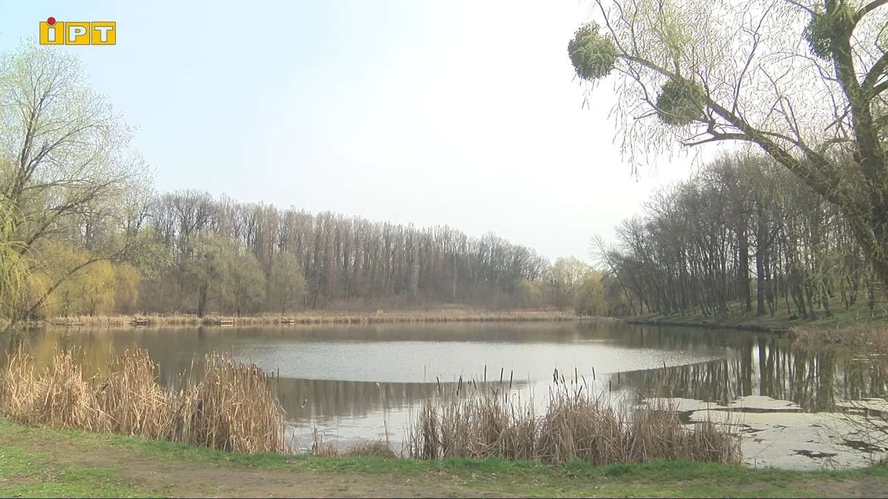 Суд повернув Полтаві площу в 11 гектарів зі ставками та столітніми дубами у Горбанівці