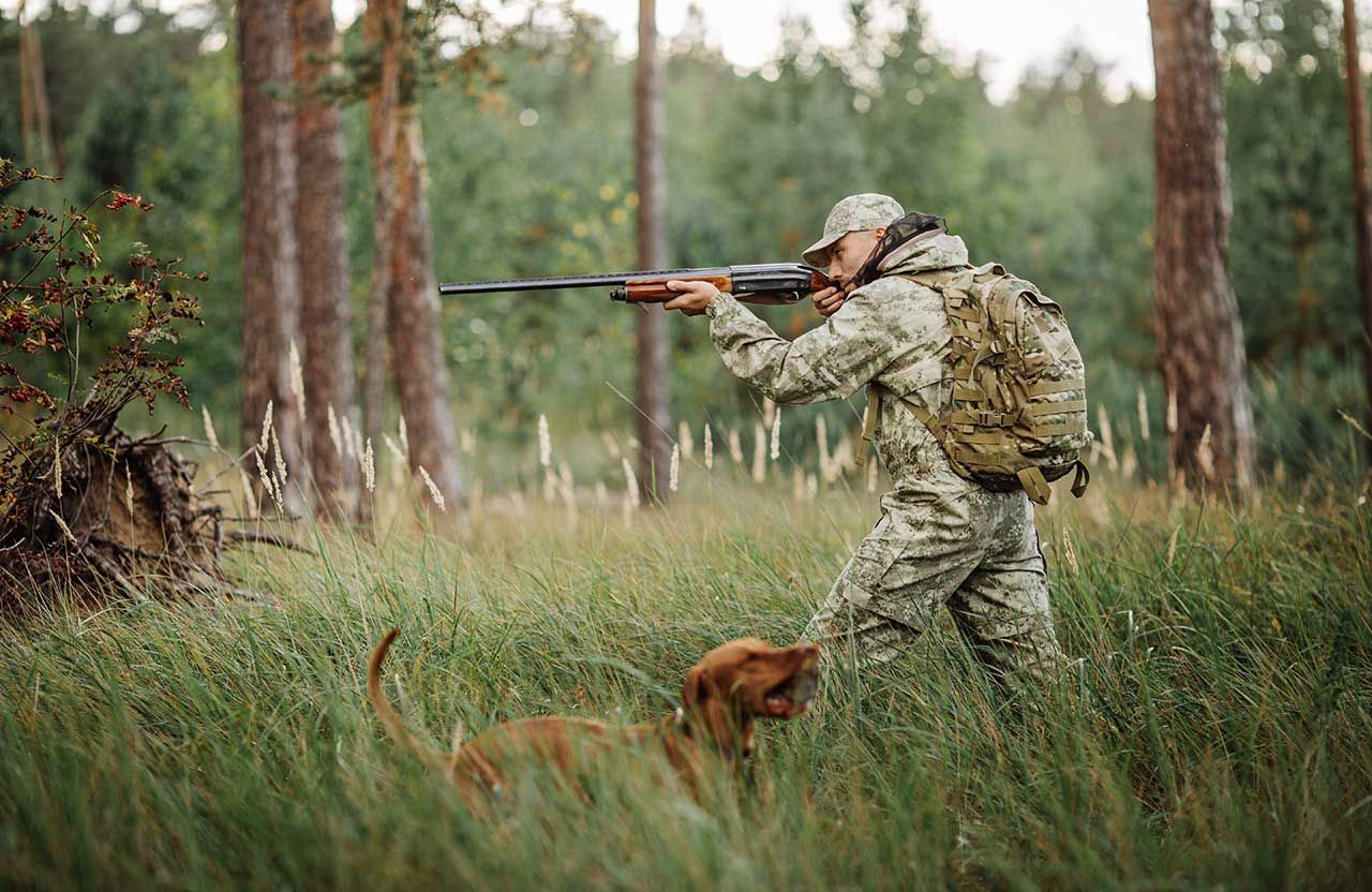 Від червневої заборони до осіннього компромісу — на Полтавщині дозволили полювання