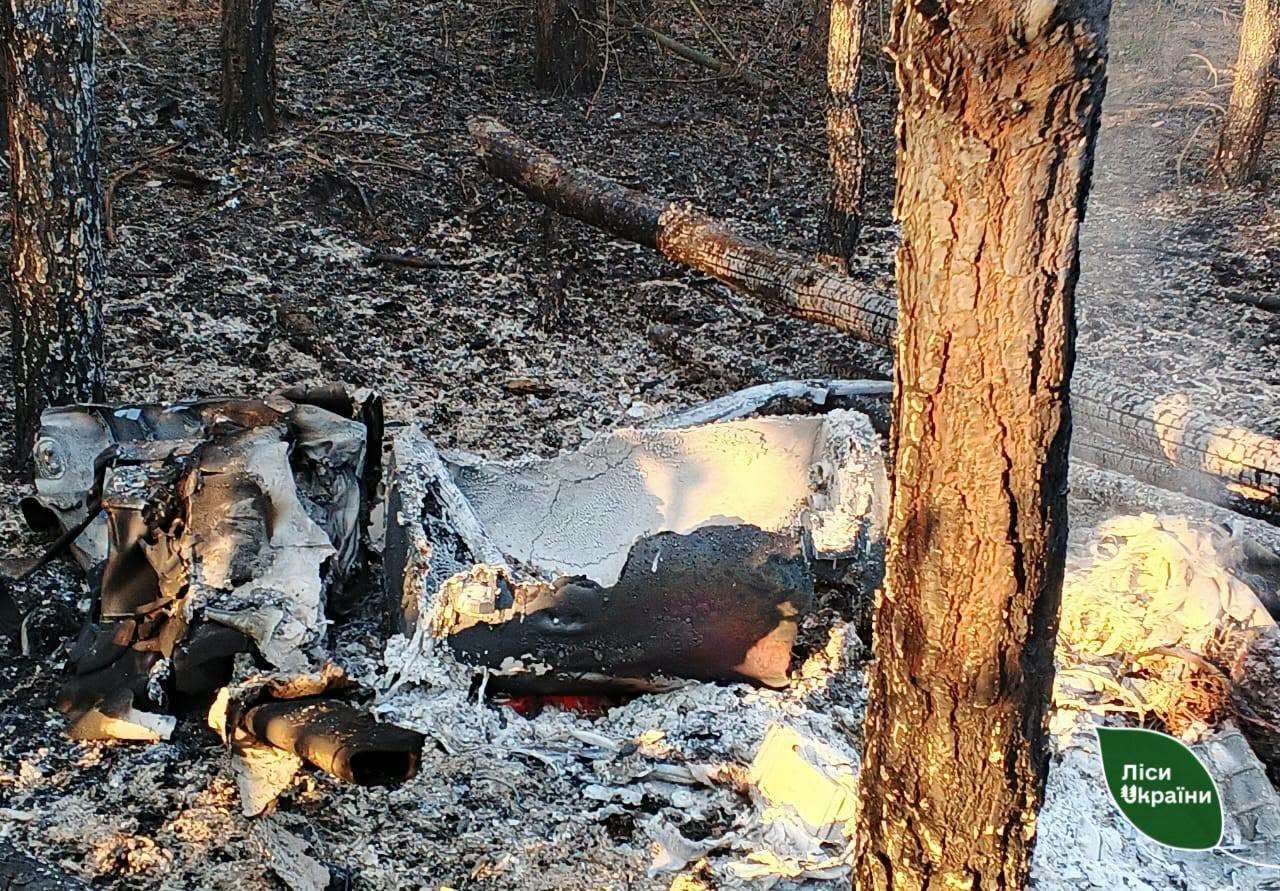 Уламки російських ракет спричинили загоряння у Псільському та Новосанжарському лісництвах