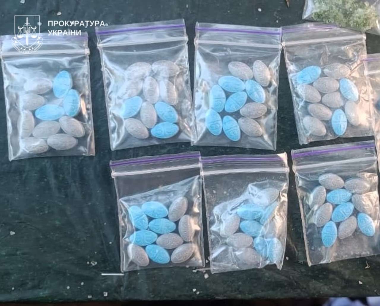 7 років ув’язнення з конфіскацією: суд виніс вирок полтавцю, який збував наркотики через «Нову пошту» та зберігав тротил